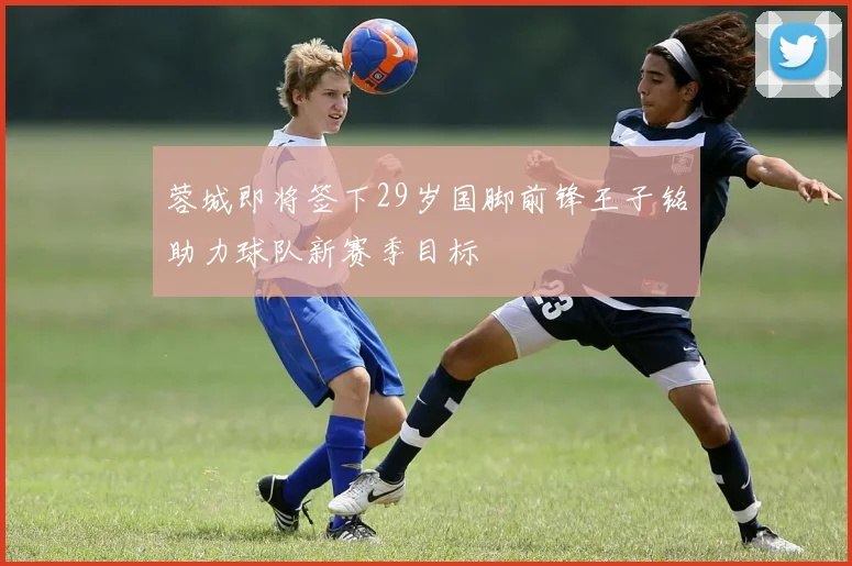 蓉城即将签下29岁国脚前锋王子铭助力球队新赛季目标