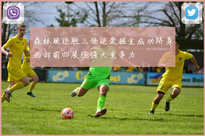森林狼连胜三场逆袭掘金成功跻身西部前四展现强大竞争力