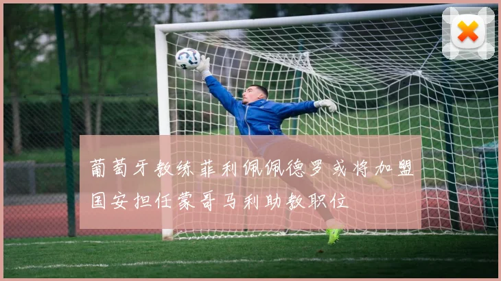 葡萄牙教练菲利佩佩德罗或将加盟国安担任蒙哥马利助教职位
