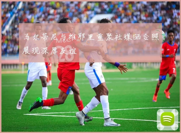 马尔蒂尼与维耶里重聚社媒晒合照展现深厚友谊