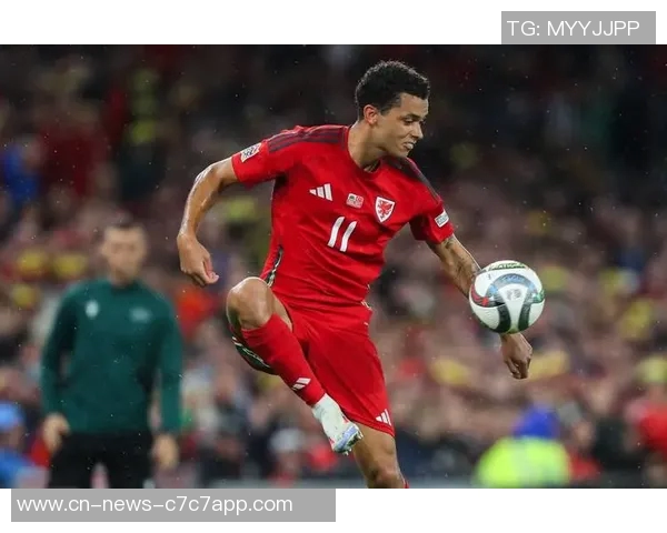 水晶宫与热刺达成协议以4000万欧签约布伦南约翰逊 水晶宫与热刺达成协议以4000万欧签约布伦南约翰逊